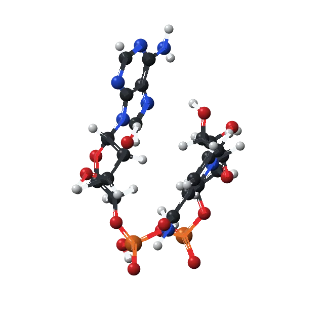 Rotating NAD+ molecular model